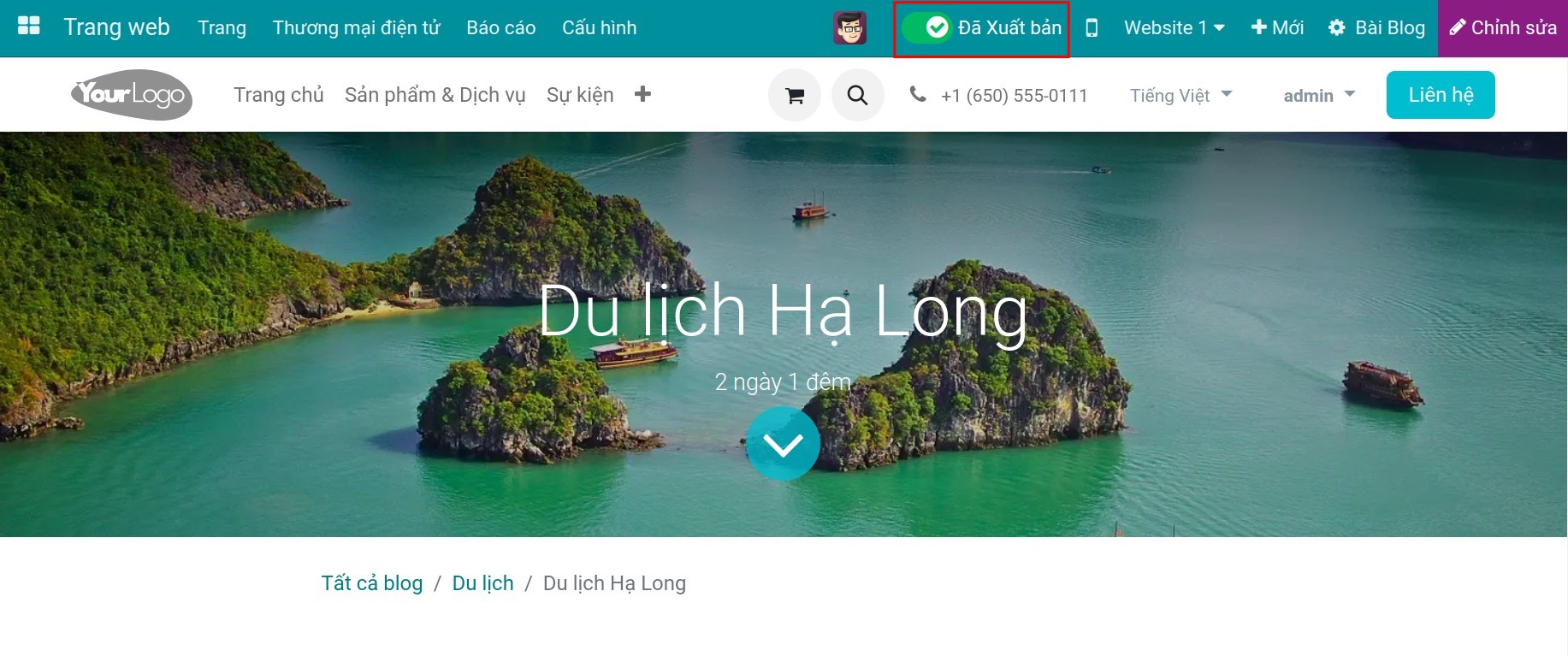 Lựa chọn xuất bản blog