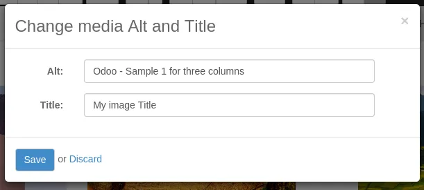 media/seo04.png