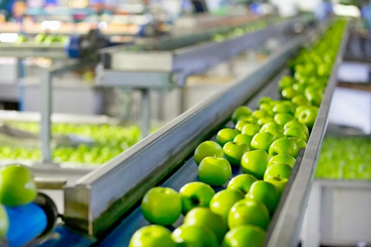 Light manufacturing An indepth overview and examples