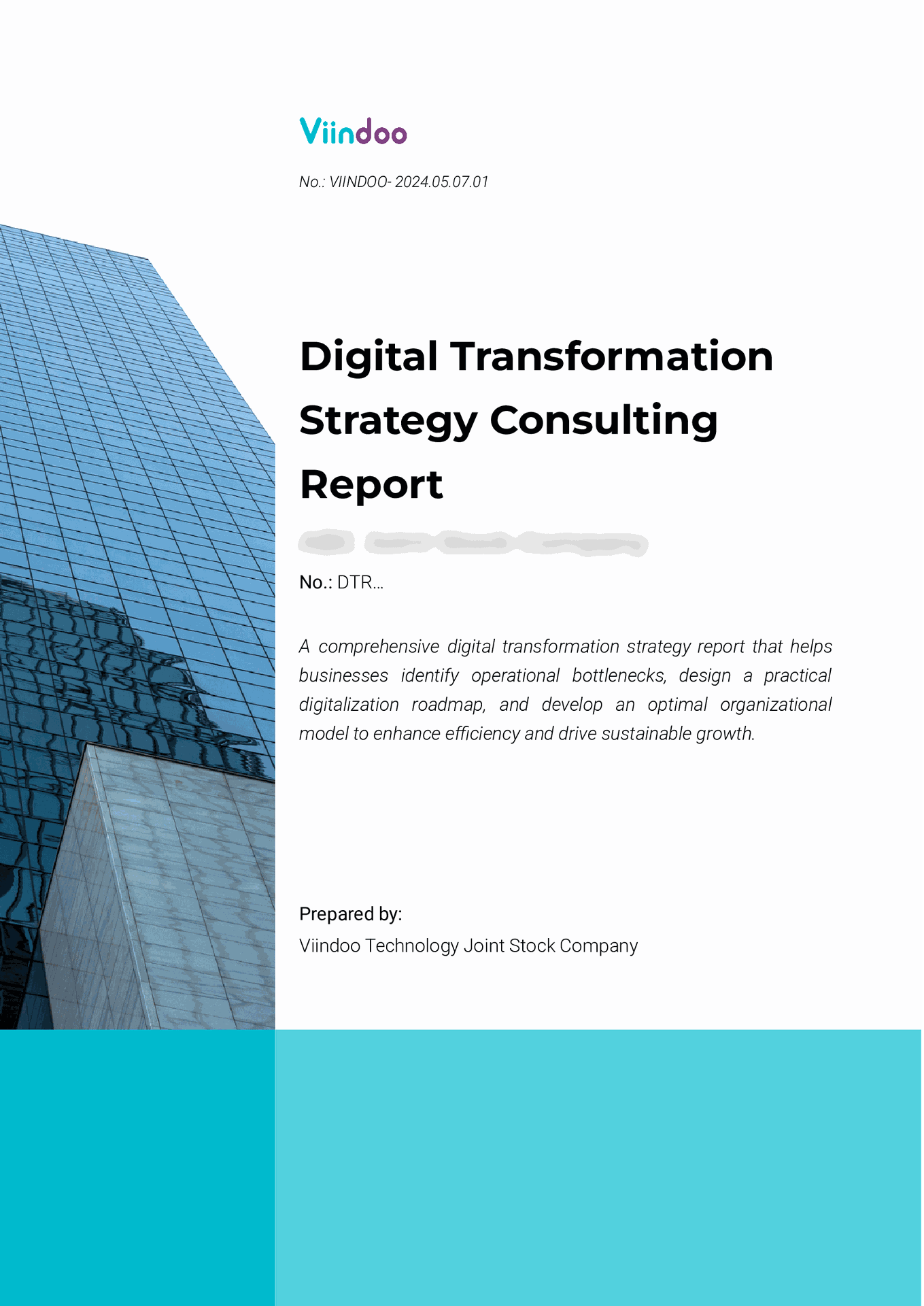 Viindoo Digital Transformation Strategy Report