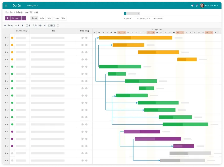 viindoo-gantt-chart