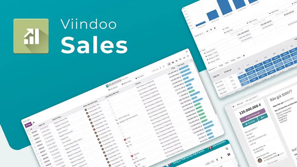 <strong>Viindoo Sales</strong>